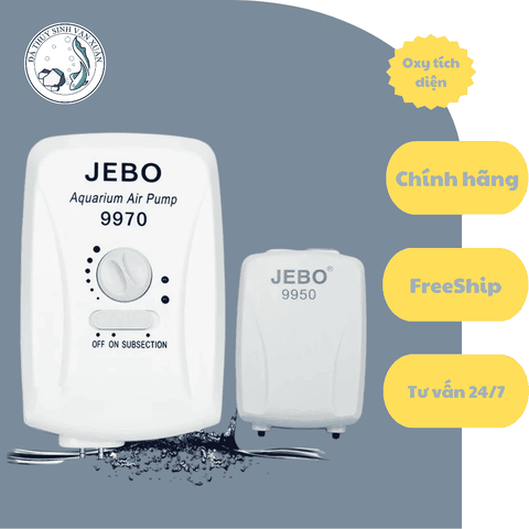 Máy Sủi OXY Sạc Điện 2 Vòi JEBO 9970 | 9950 Cho Hồ Cá, Vận Chuyển