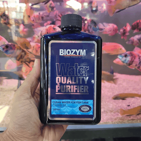Biozym Water Quality Purifier – Giải Pháp Làm Trong & Ổn Định Nước Nhanh Toàn Diện Cho Hồ Cá