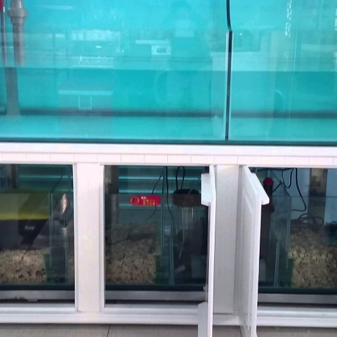 SAN HÔ LỌC NƯỚC HỒ CÁ 500gr