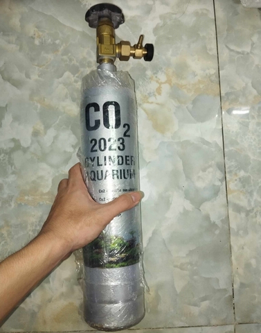Bình Co2 Cho Bể Cá, Cây Thủy Sinh 1L 2L 3L
