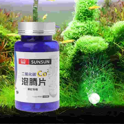 VIÊN SỦI CO2 SUNSUN CHO HỒ THỦY SINH – GIẢI PHÁP CUNG CẤP CARBON CHO CÂY TIỆN LỢI