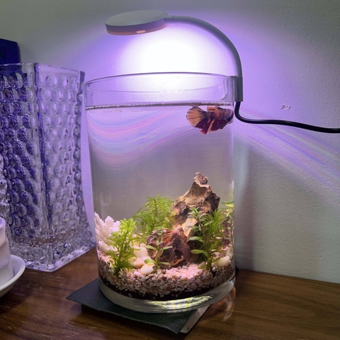 Đèn Led Kep Vỏ Trắng Siêu Mini Jeneca D1-S