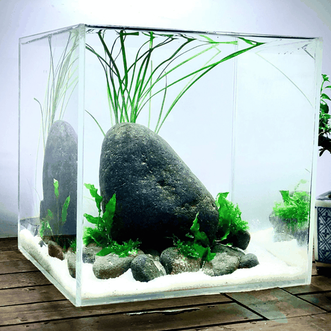 Đá Cuội | Size Nhỏ, Vừa, To, Đại