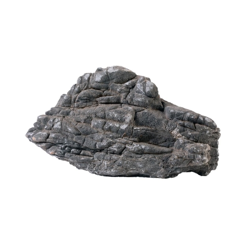 Đá Da Voi | Size 5-10cm ; 10-20cm; >20cm