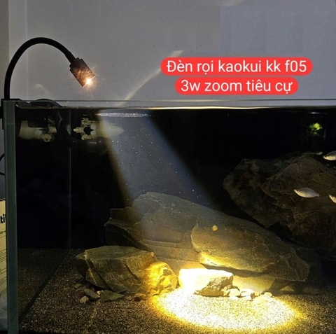Đèn Led Rọi Kaokui KK-F05 3W Mini Điều Chỉnh Tiêu Cự Spotlight, Hiệu Ứng Sóng Nước