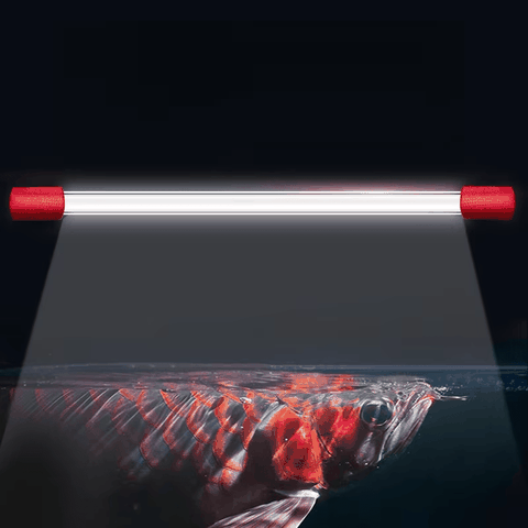 Đèn Led T8-52cm Red Arowana Cho Cá Rồng, Cá Lóc, Cá Vàng... Đỏ Cá Không Đỏ Nước