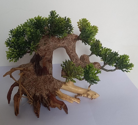 Lũa Bonsai Dáng Huyền Ghép Tán Lá Nhựa | Size Nhỏ ; Vừa ; To