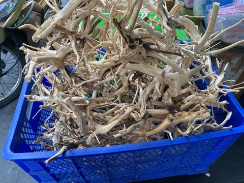 Lũa Hải Sa Quỳ Setup Trang Trí hồ cá thủy sinh 100G