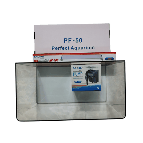 [FREESHIP HCM] Bể Cá Đúc Uốn Cong Hai Cạnh Mặt Trước SIZE 50cm