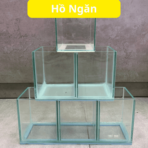 Hồ Nhỏ Gọn Nuôi Cá Betta Đẻ Cá  1 ngăn, 2 ngăn, 3 ngăn, 4 ngăn 5 ngăn siêu tiện lợi