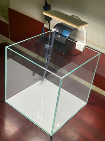 [FREESHIP HCM] Bể Cá Vuông 20 Hồ Cá Cubic Siêu Trong Nhập Khẩu PF-20 Perfect Aquarium