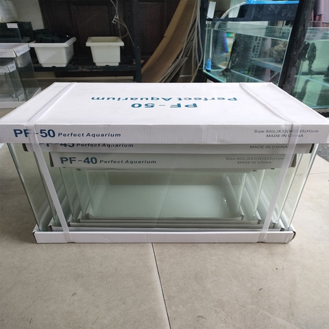 [FREESHIP HCM] Bể Cá Đúc Uốn Cong Hai Cạnh Mặt Trước SIZE 50cm