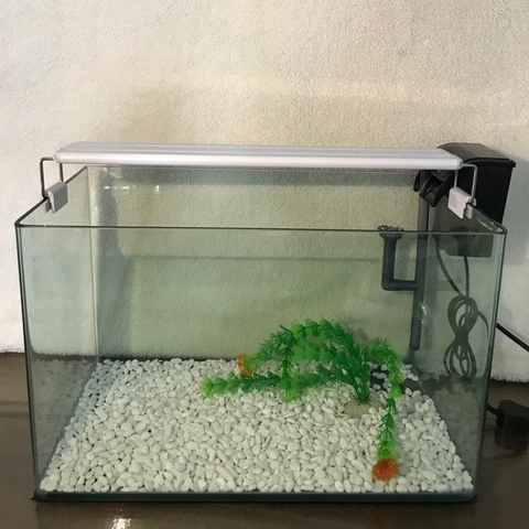 [FREESHIP HCM] Bể Cá Đúc Uốn Cong Hai Cạnh Mặt Trước SIZE 50cm