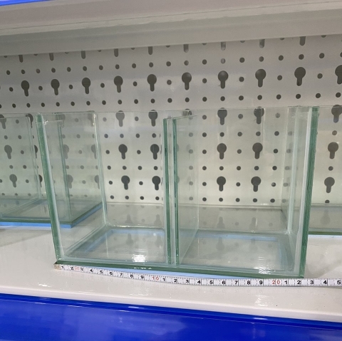 Hồ Nhỏ Gọn Nuôi Cá Betta Đẻ Cá  1 ngăn, 2 ngăn, 3 ngăn, 4 ngăn 5 ngăn siêu tiện lợi