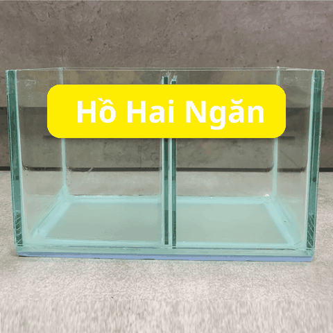 Hồ Nhỏ Gọn Nuôi Cá Betta Đẻ Cá  1 ngăn, 2 ngăn, 3 ngăn, 4 ngăn 5 ngăn siêu tiện lợi