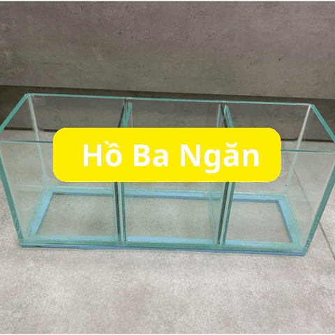 Hồ Nhỏ Gọn Nuôi Cá Betta Đẻ Cá  1 ngăn, 2 ngăn, 3 ngăn, 4 ngăn 5 ngăn siêu tiện lợi