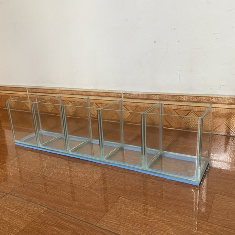 Hồ Nhỏ Gọn Nuôi Cá Betta Đẻ Cá  1 ngăn, 2 ngăn, 3 ngăn, 4 ngăn 5 ngăn siêu tiện lợi