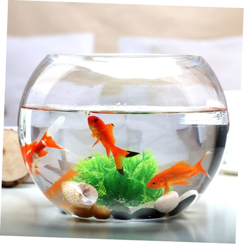Chậu thủy tinh trang trí VX111, chậu thủy tinh trồng cây thủy sinh, bể cá mini để bàn, bể cá thuỷ sinh VX111