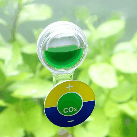 Đo CO2 Thủy Sinh ISTA I-506 – Giải pháp theo dõi CO2