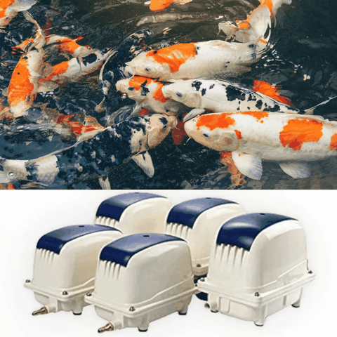 Máy Sủi Oxy Hồ Cá Jecod PA 35 - 45 - 80 - 100 - 150
