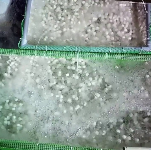 Hạt KALDNES Vật Liệu Lọc Cho Hồ Cá 500gam