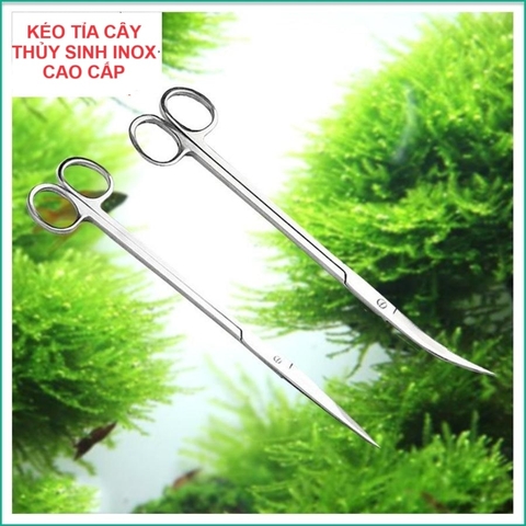 Kéo, Nhíp Cắt Tỉa Cắm Cây Thủy Sinh Jeneca Inox Chống Gỉ Chuyên Cho Thủy Sinh