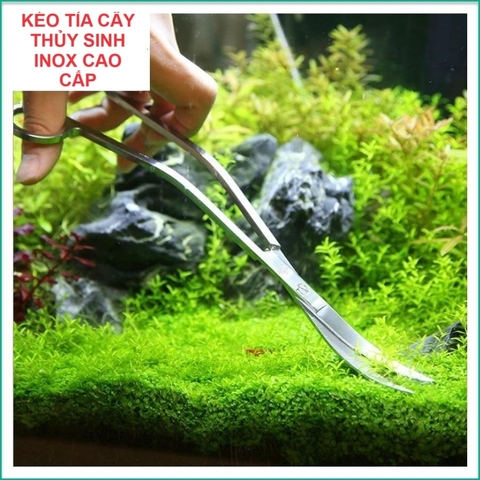 Kéo, Nhíp Cắt Tỉa Cắm Cây Thủy Sinh Jeneca Inox Chống Gỉ Chuyên Cho Thủy Sinh