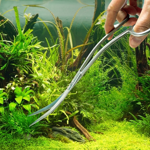 Kéo, Nhíp Cắt Tỉa Cắm Cây Thủy Sinh Jeneca Inox Chống Gỉ Chuyên Cho Thủy Sinh