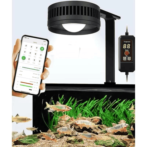 ĐÈN LED THỦY SINH KAOKUI KK70 PRO RGB – CHỈNH APP, LÊN MÀU CỰC ĐẸP