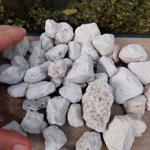 Đá Lông Vũ | Đá Nham Thạch Trắng Vật Liệu Lọc Hồ Cá Hoặc Trang Trí Sân Vườn [500gr]