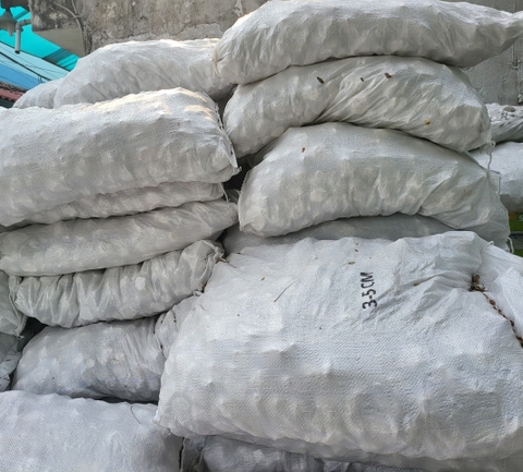 Đá Lông Vũ | Đá Nham Thạch Trắng Vật Liệu Lọc Hồ Cá Hoặc Trang Trí Sân Vườn [500gr]