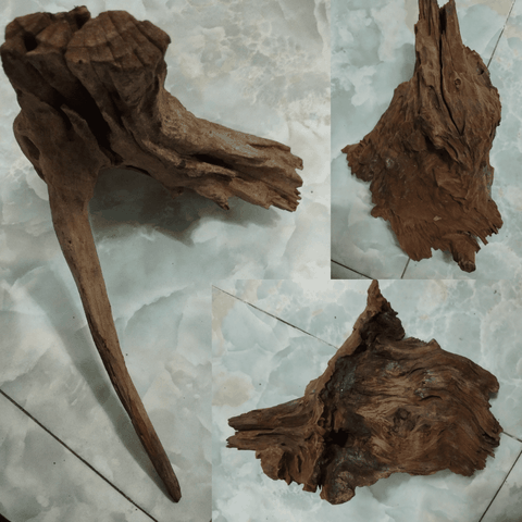 Lũa Gỗ Rừng Dáng Tự Nhiên - Trang Trí Hồ Cá Thiết Kế Layout cho Hồ Thủy Sinh