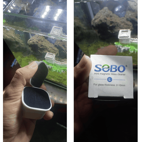 Dụng cụ lau kiếng cho hồ cá mini bằng nam châm chà hồ nhãn hiệu Sobo