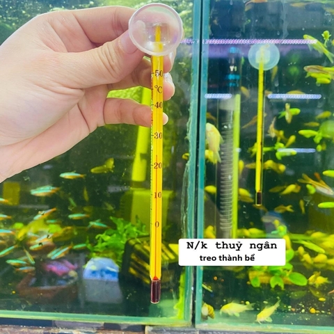 Nhiệt kế thủy ngân hít thành hồ cá – Chính xác & tiện lợi