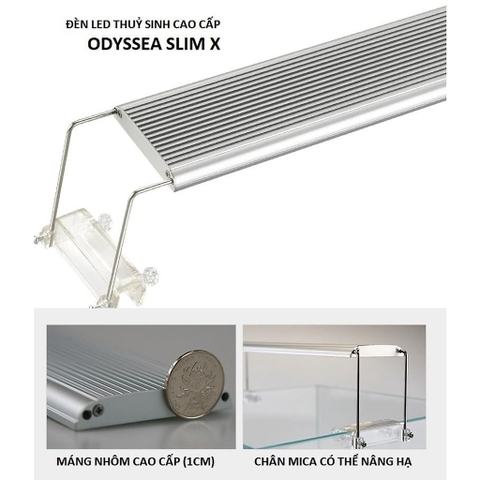 Đèn LED Odyssea Slim X450, Combo Hồ, Lọc