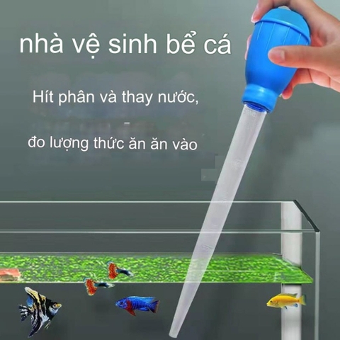 Hút Cặn, Vệ Sinh Hồ Cá, Hút Phân Hồ Cá