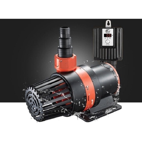 Máy Bơm Lưu Lượng Nước Lớn Cho Hồ Thủy Sản Hồ Cá Periha PB 31000 PB 35000(31m3.h & 35m3.h)