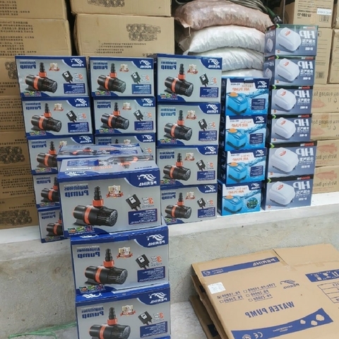Máy Bơm Lưu Lượng Nước Lớn Cho Hồ Thủy Sản Hồ Cá Periha PB 31000 PB 35000(31m3.h & 35m3.h)