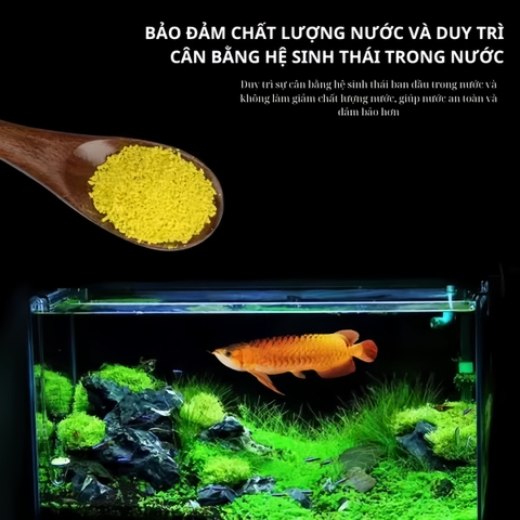 Bột Tetra Nhật 5g Cho Cá Cảnh Hỗ Trợ Xử Lý Nấm, Vi Khuẩn, Bệnh Ngoài Da