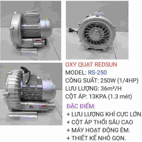 Máy thổi khí con sò Redsun RS Công Suất Lớn