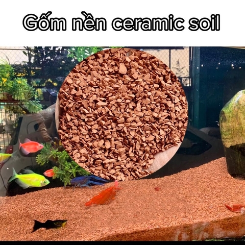 Sạn Đỏ Trang Trí Trải Nền Size Hạt To Và Size Hạt Nhỏ