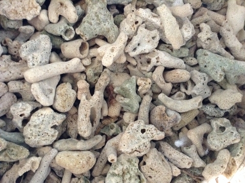 SAN HÔ VỤN LÀM VẬT LIỆU LỌC NƯỚC HỒ CÁ 500gr