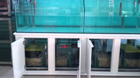 SAN HÔ VỤN LÀM VẬT LIỆU LỌC NƯỚC HỒ CÁ 500gr