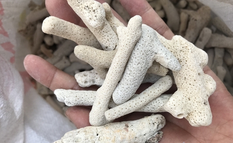 SAN HÔ VỤN LÀM VẬT LIỆU LỌC NƯỚC HỒ CÁ 500gr