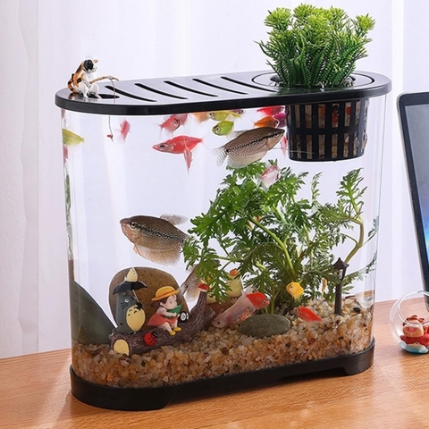 Cát Sỏi Suối Hạt To Trải Nền Thủy Sinh