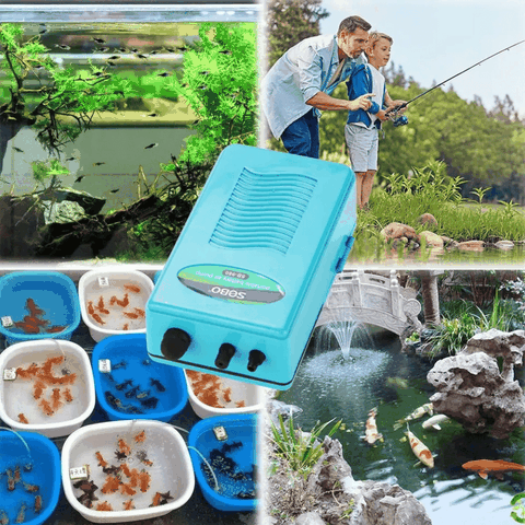 Máy sủi oxy chạy pin Sobo SB-960 1 vòi