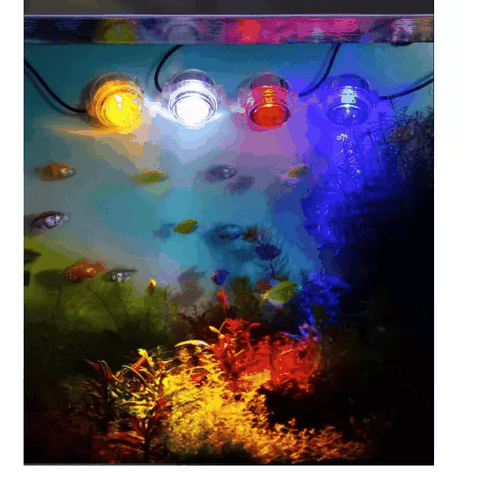 Led Mini Lamp SD-02 Jeneca Nhiều Màu Rọi Sáng Trang Trí Trong Bể Cá
