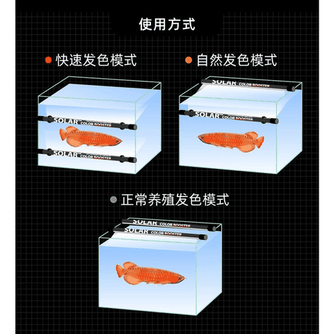 ĐÈN LED SOLAR COLOR BOOSTER – KÍCH MÀU CÁ CẢNH CHUYÊN NGHIỆP