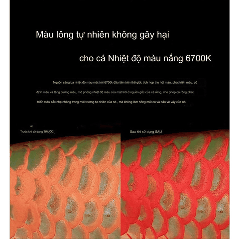 ĐÈN LED SOLAR COLOR BOOSTER – KÍCH MÀU CÁ CẢNH CHUYÊN NGHIỆP
