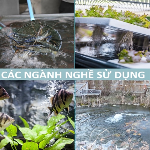Đá Sủi Oxy Bánh Bao Bánh Ú - Nấm Sủi Oxy Cho Hồ Cá Vận Chuyển